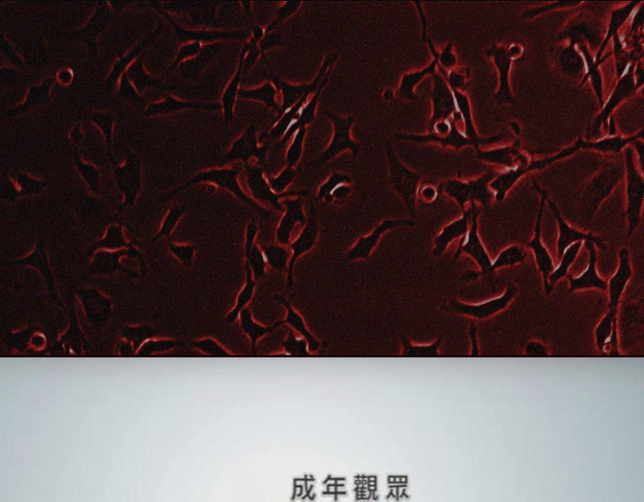 末日大事件DLC大流行 - 第五集 - 1