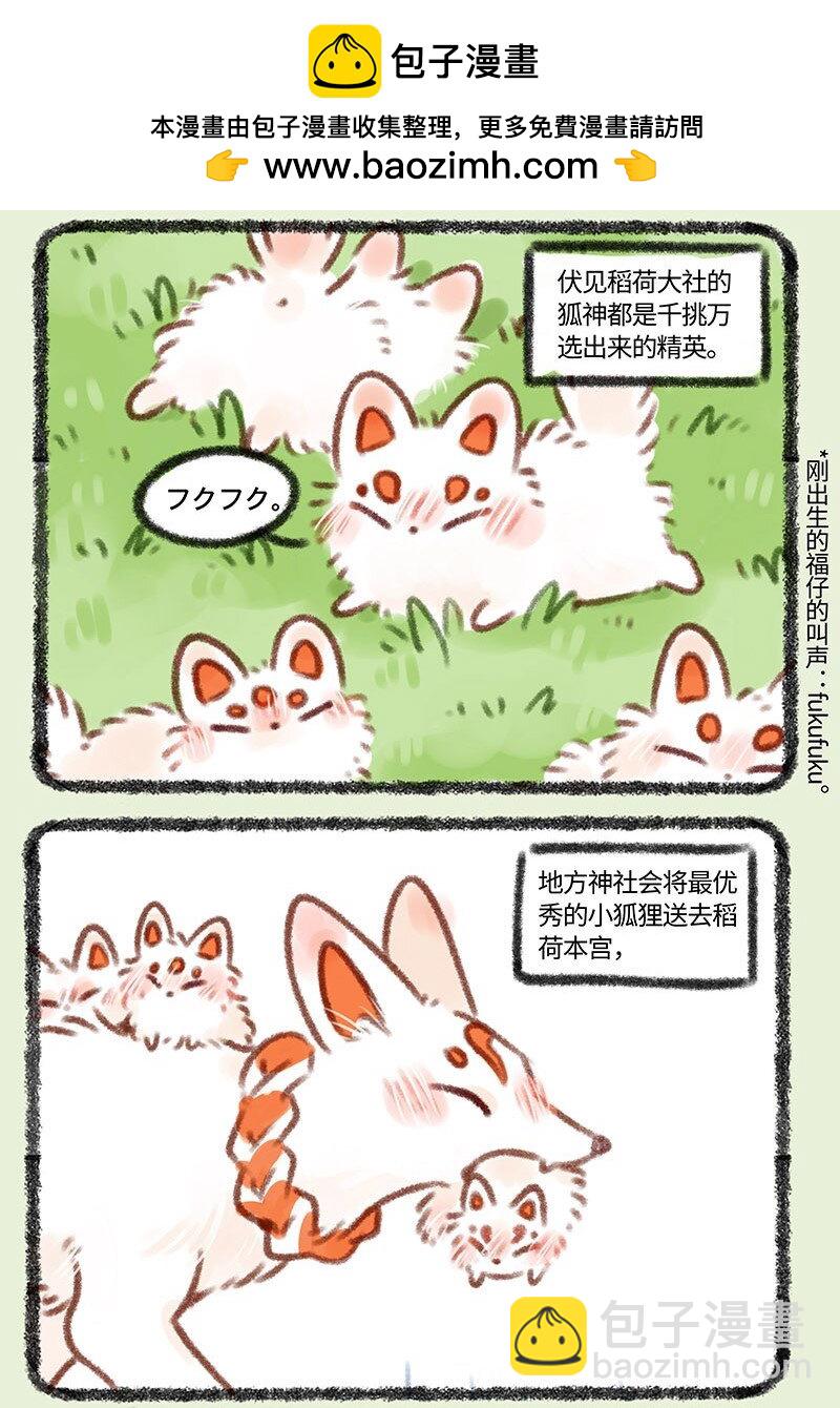 有獸焉 - 359 稻荷狐狸入職之路 - 2